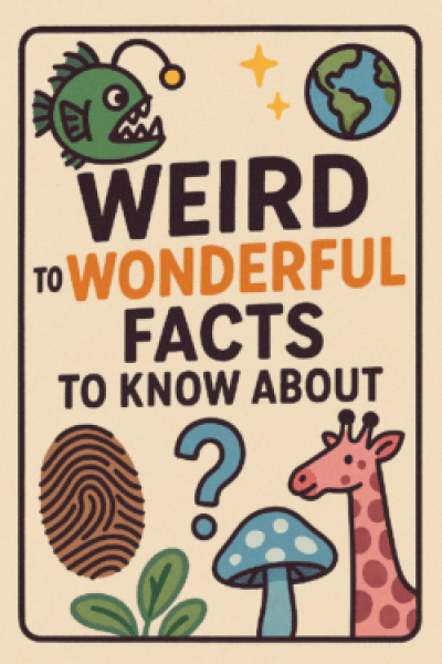 Weird To Wonderful Facts